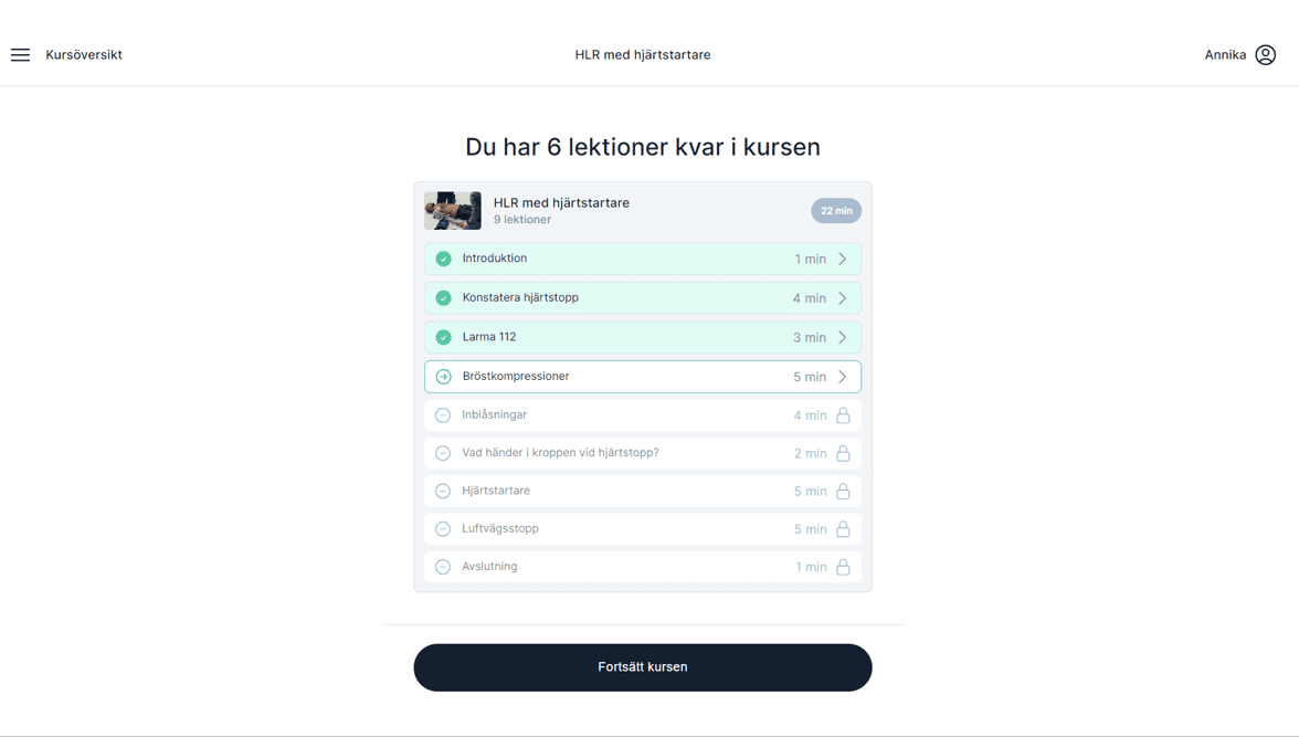 Webbutbildning HLR Vuxen Elsa