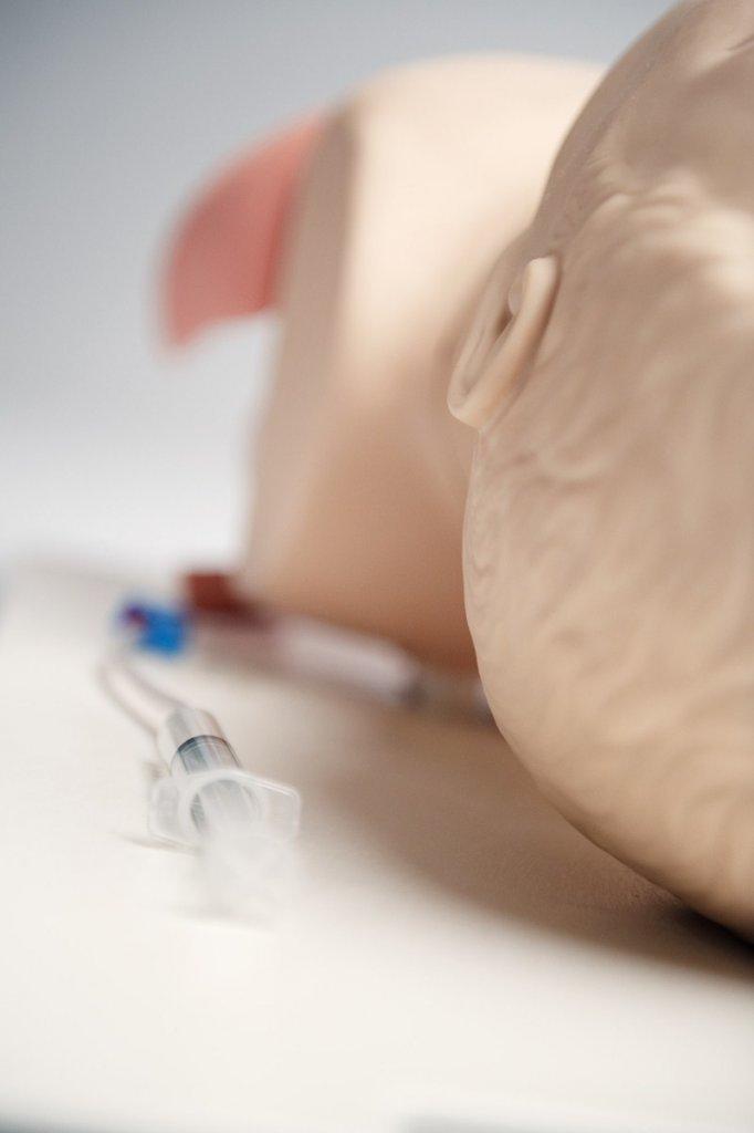 Träningsdocka för intubation och ventilation med realistiska luftvägar